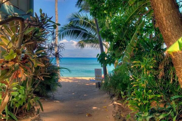 Strand