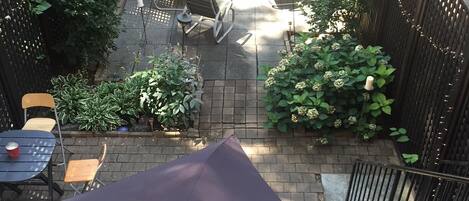 Our south facing garden- wisteria, peonies, lilacs, hydrangea and dappled shade.