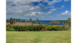 Fabulous Ocean and Garden Views from your lanai.
