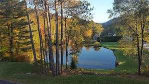 Gorgeous pond view from house.