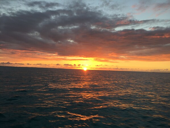 Sunrise over the Sea of Abaco, just steps from the condo