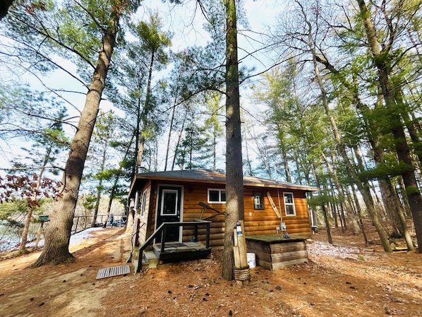 Cabin tucked deep on a wooded lot close to the water