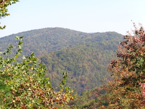 FALL