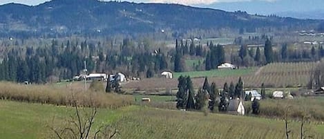 Spectacular views of vineyards, the Willamette Valley and Mt. Hood.