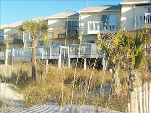 Sea oats/palms fourish in your back yard/private fenced area for pet/kids