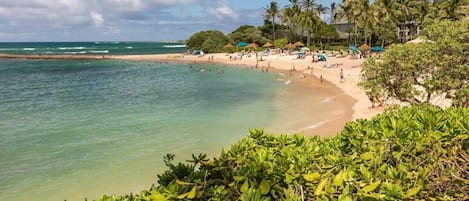 Welcome to Turtle Bay Surf and Golf Condo. Escape to the nearest beach. It's just a short walk away