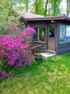 Spring azaleas blooming at entry door.