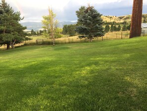 view from side patio and kitchen window