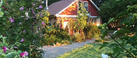 Morning sun on our quaint, country cottage!