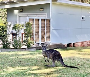 Joey shares the large spacious block