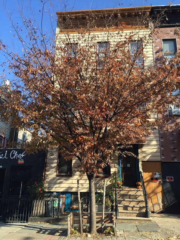 This apartment is in a traditional Brooklyn rowhouse