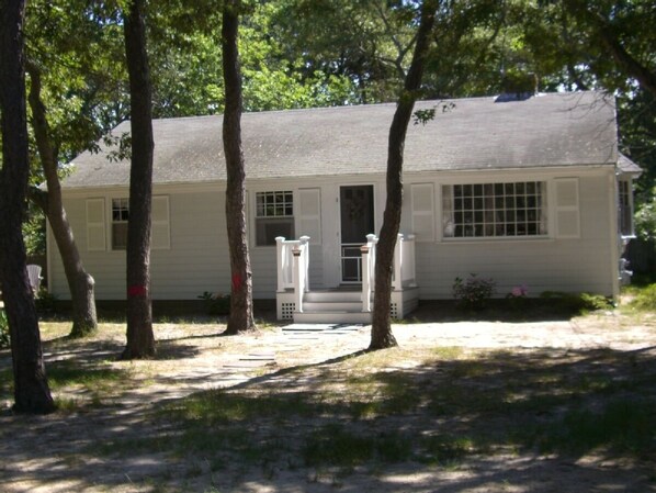  House set among the cool pine trees