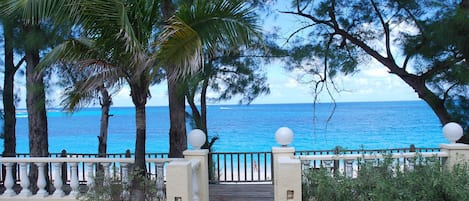 View from large entertainment patio area.