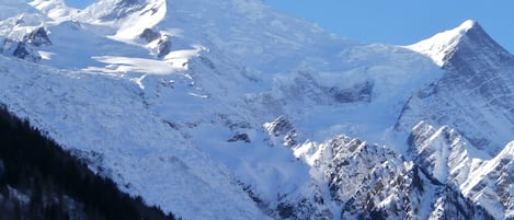 Spectacular views of the Mt Blanc from the balcony and living room
