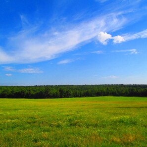 Wilson Ranch Pastures