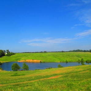 Wilson Ranch Pastures and view of one of the fishing ponds.