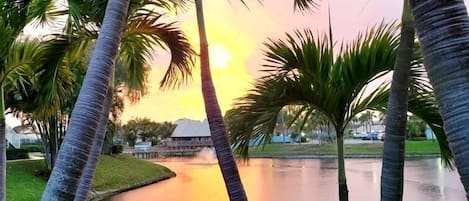 Beautiful sunset and lagoon view from bench just outside of condo. 