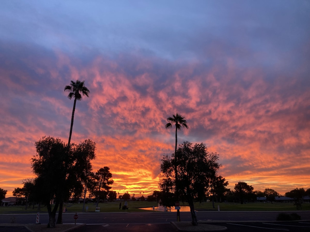 Sabino/Ventana Canyon Area – Breathtaking Mountain Views!! Summer/fall discounts