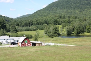 View from the cabin.