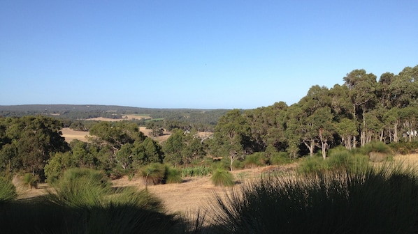 View of Millbrook Valley