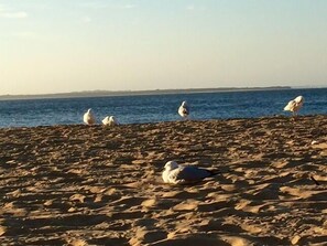 Spiaggia