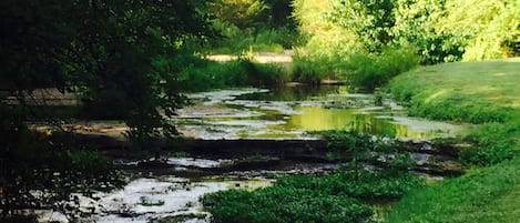 Creek just steps from the front porch!