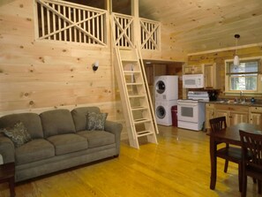 main living area, loft ladder