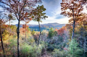View of fall colors