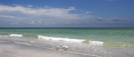 Crystal clear calm waters of the Gulf of Mexico steps away.