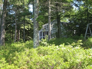 Camp, thru the trees and blueberry bushes, from the West.