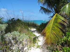 Path to the beach