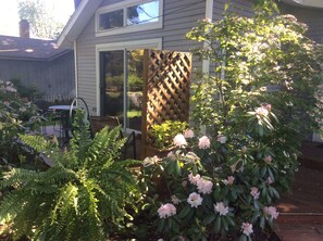 The Summer Place in bloom 