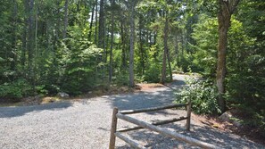 Driveway from Cabin