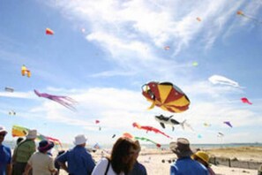 Semaphore Kite Festival: Usually held over  Easter long weekend.