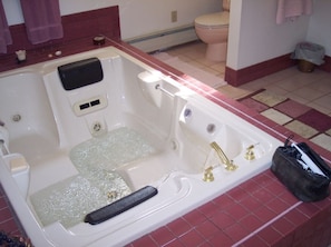 Hot Tub/master bath