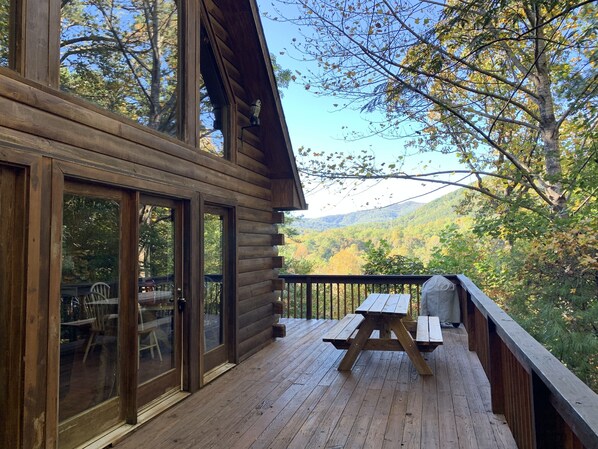 Side deck with charcoal BBQ and picnic table