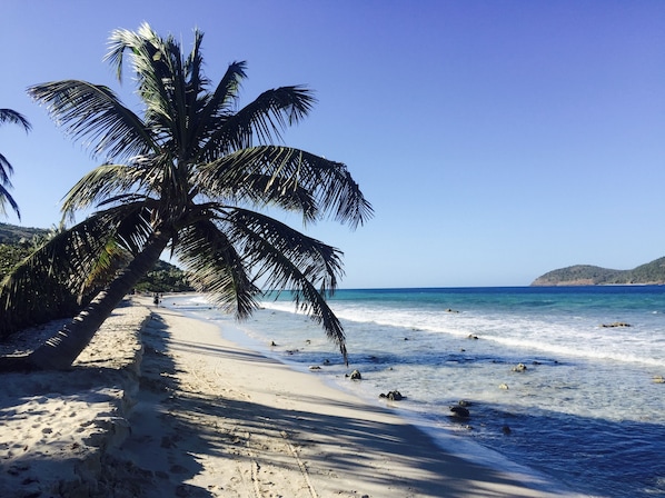 Paradise awaits on the unspoiled beaches of Culebra!