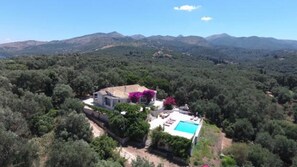 Aerial view of the Olive Grove