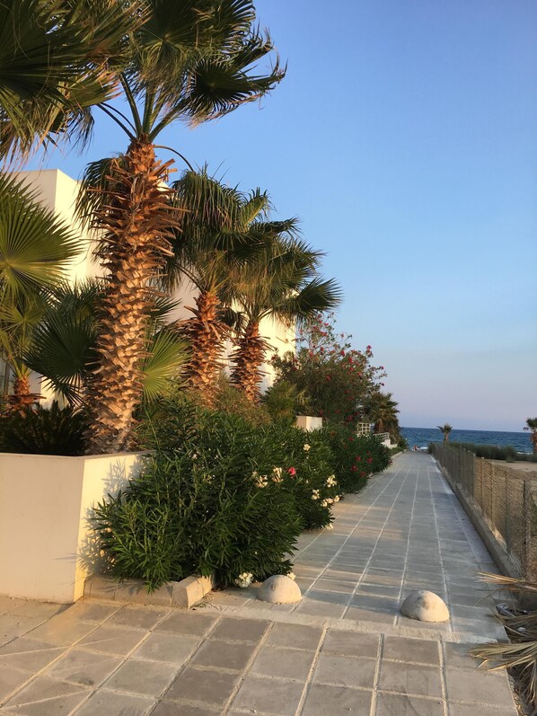 Walk to the Beach