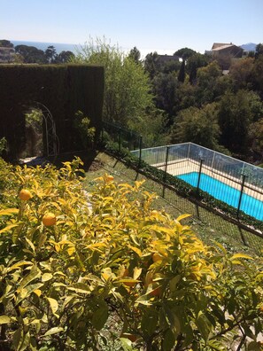 Piscine vue de la terrasse 