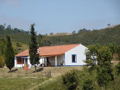 Casa típica en una gran parcela con estanque y gran piscina.  