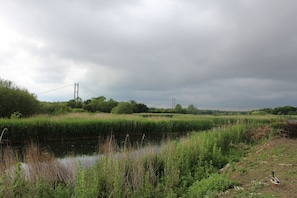 Daytime view