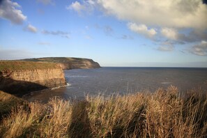 View up the coast toward Boulby cliffs taken from the Old Nab cliffs.