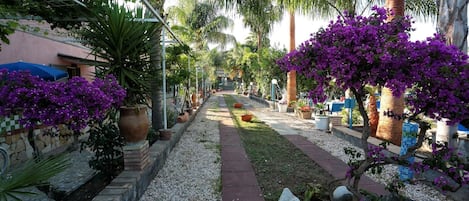 Jardines del alojamiento