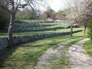 Road into property