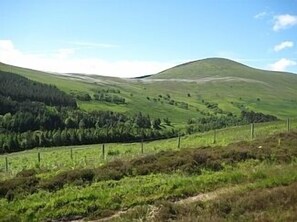 The Cheviot Hills
