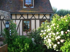 Garden, Park