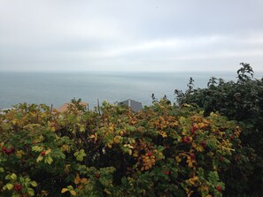Lovely sea views