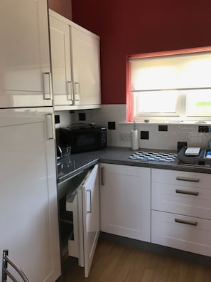 Kitchen Area - Fridge, Microwave