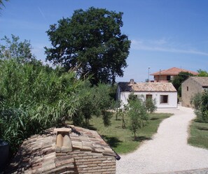 View from the main house